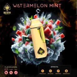 Ace Watermelon Mint Kaufen Online